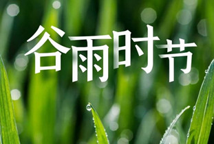 今日谷雨丨雨生百谷，萬(wàn)象更新